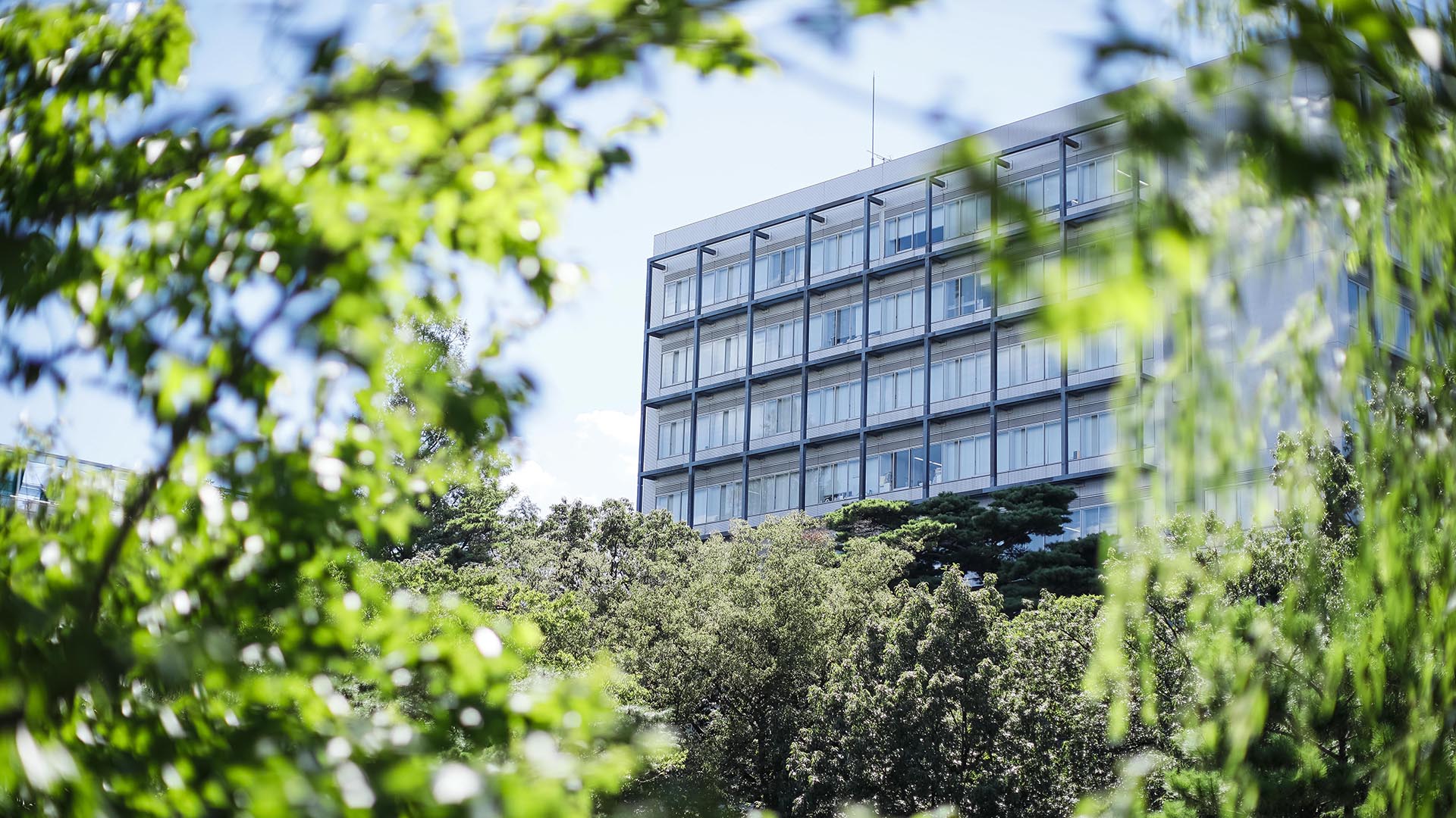成城大学
