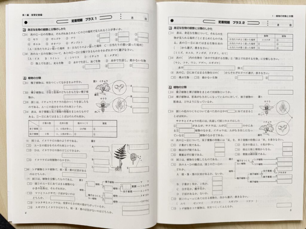 理科マイクリアドリル